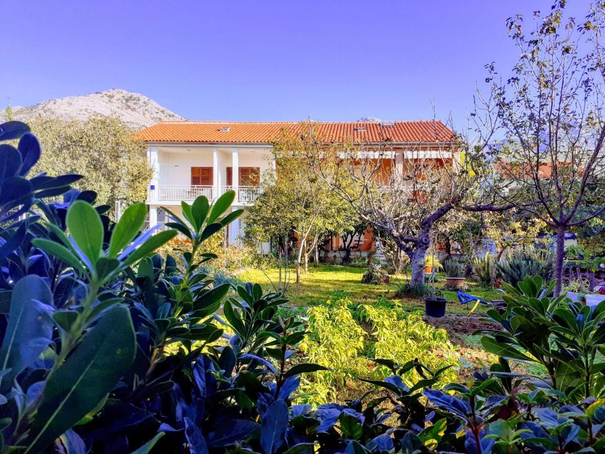 Apartments Lana Starigrad Exterior photo